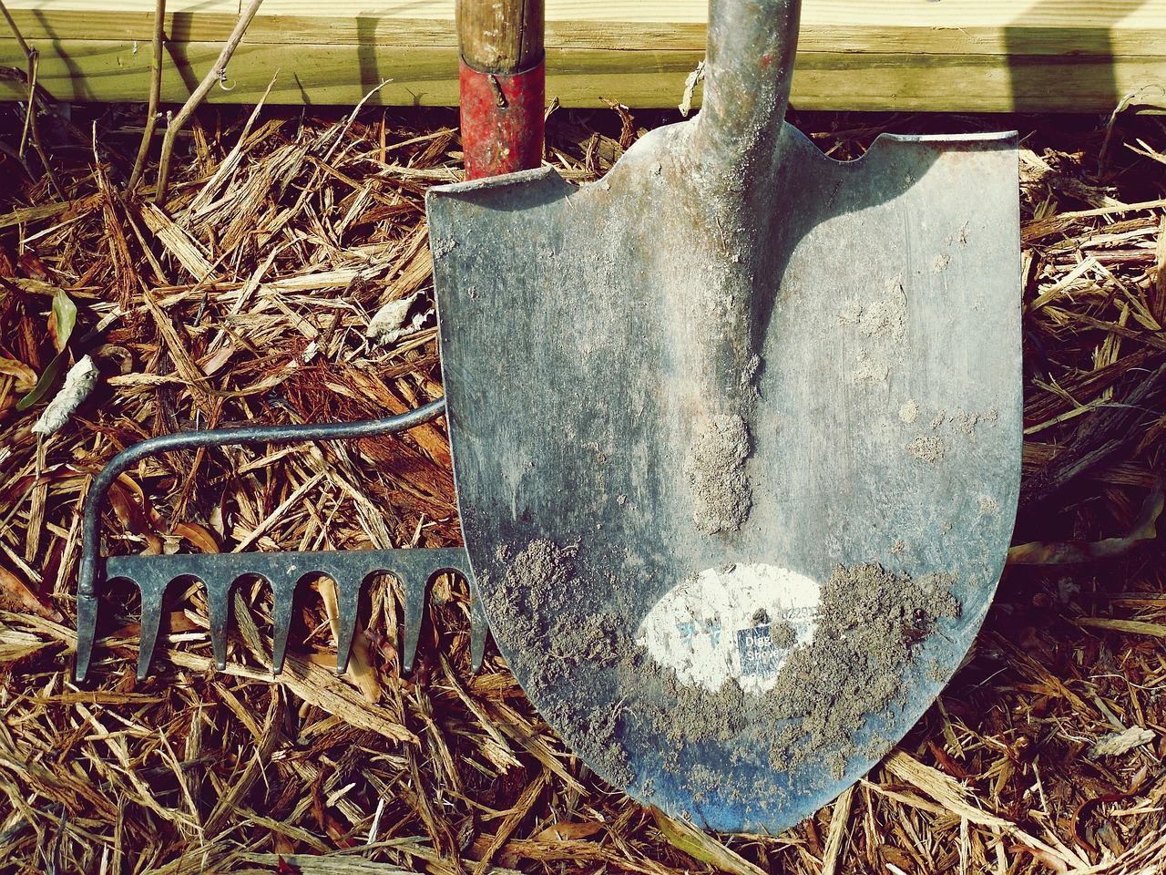 Questions and answers about choosing practical tools